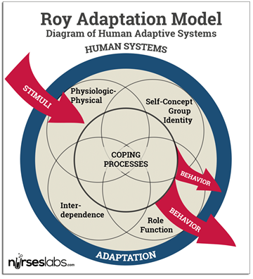 Roy -Diagrammatic -Representation -of -Human -Adaptive -Systems